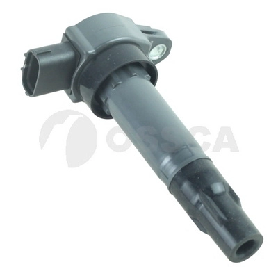 Ignition Coil (45301)