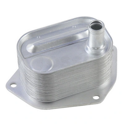 Oil Cooler, engine oil (13512)