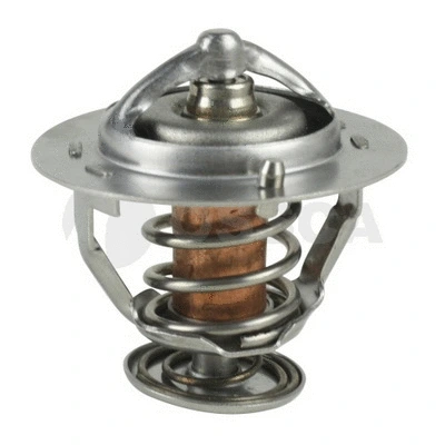 Thermostat, coolant (06087)