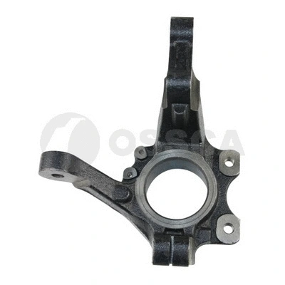 Steering Knuckle, wheel suspension (13666)