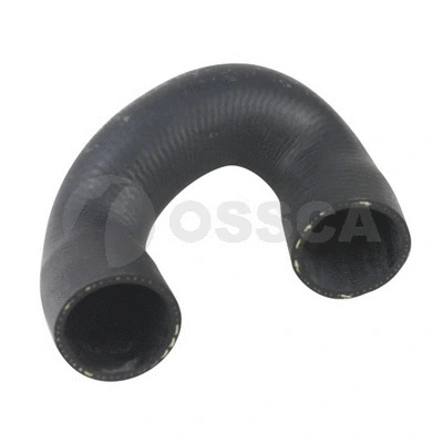 Radiator Hose (24534)