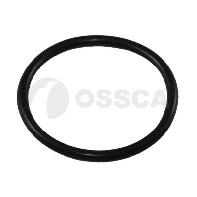 Seal, thermostat (01319)