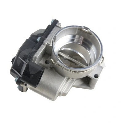 Throttle Body (25144)