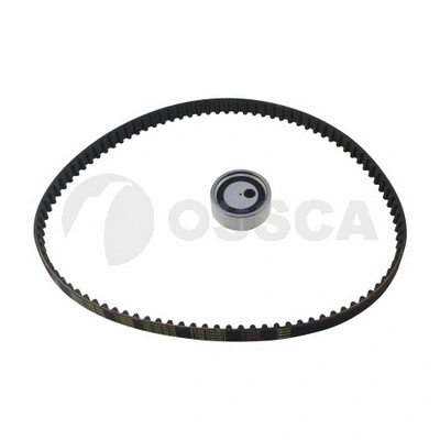 Timing Belt Kit (16656)