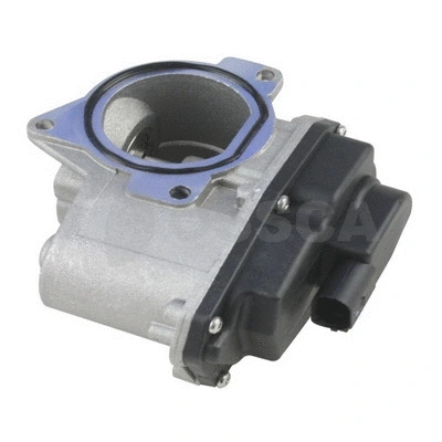 EGR Valve (24807)