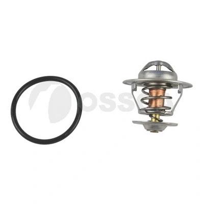 Thermostat, coolant (24013)