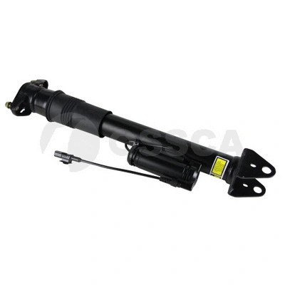 Air Suspension Strut (28293)