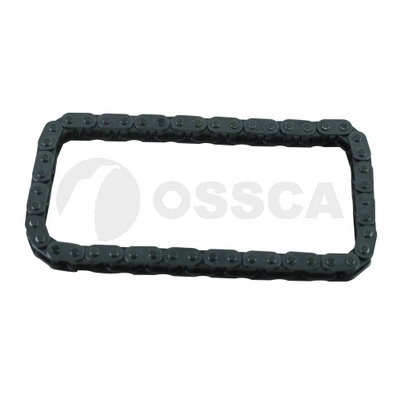 Timing Chain (45920)