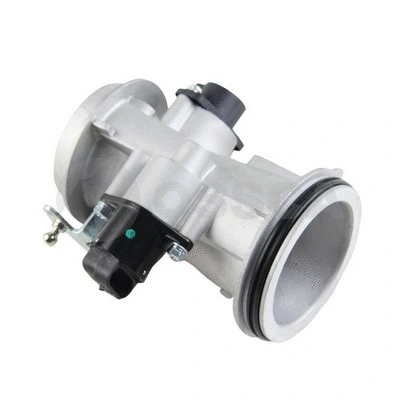 Throttle Body (26219)