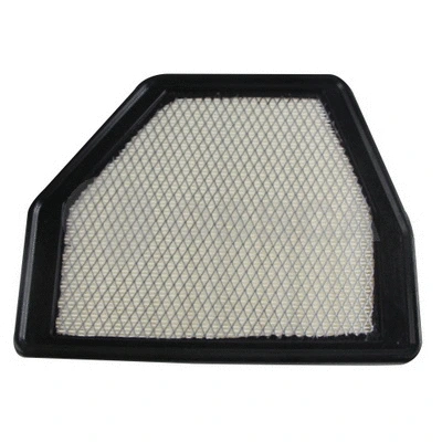 Air Filter (43086)