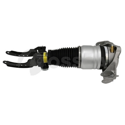 Air Suspension Strut (25744)