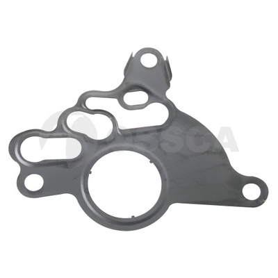 Gasket, vacuum pump (65770)