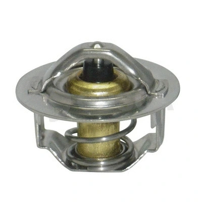 Thermostat, coolant (01846)