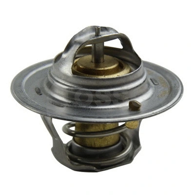 Thermostat, coolant (24008)