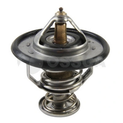 Thermostat, coolant (12429)