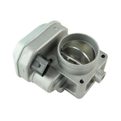Throttle Body (33106)