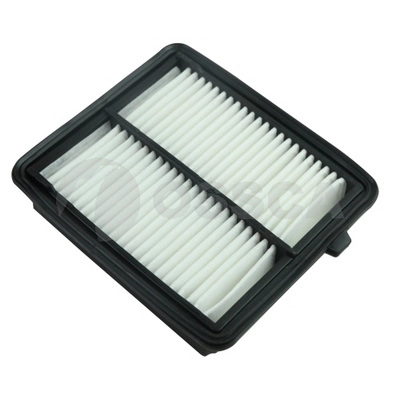 Air Filter (65929)
