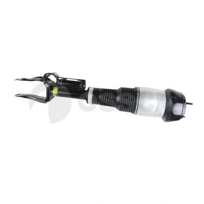 Air Suspension Strut (34819)