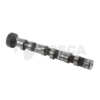 Camshaft (22090)