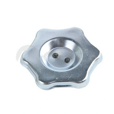 Sealing Cap, oil filler neck (42586)