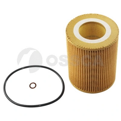 Oil Filter (05181)