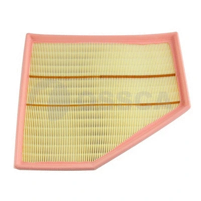 Air Filter (43011)