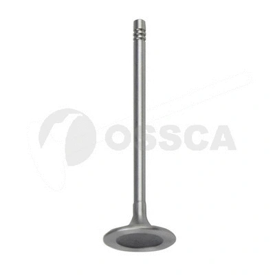 Intake Valve (12549)