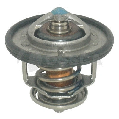 Thermostat, coolant (02651)