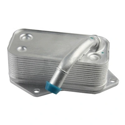 Oil Cooler, engine oil (13817)