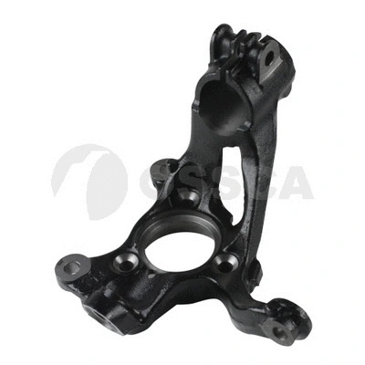 Steering Knuckle, wheel suspension (19219)