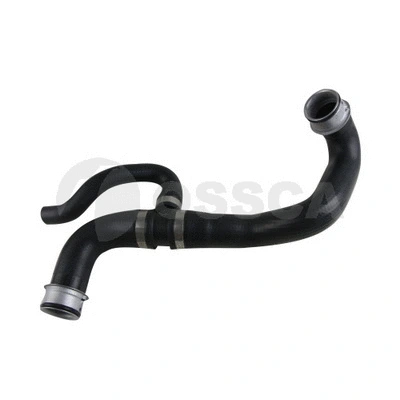 Radiator Hose (43748)