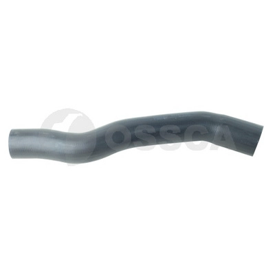 Charge Air Hose (59661)