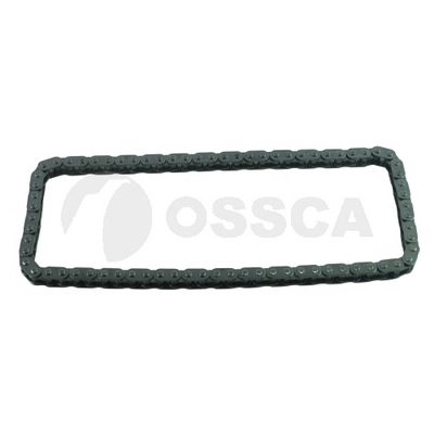 Timing Chain (69800)