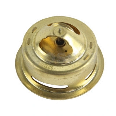 Thermostat, coolant (28081)