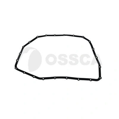 Hydraulic Filter, automatic transmission (60744)