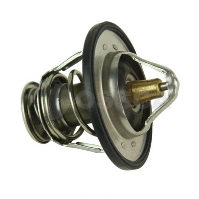 Thermostat, coolant (26245)