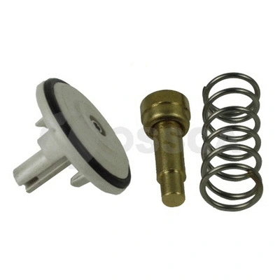 Thermostat, coolant (12077)