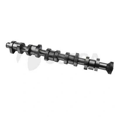 Camshaft (13886)