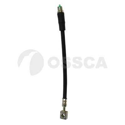Brake Hose (13876)
