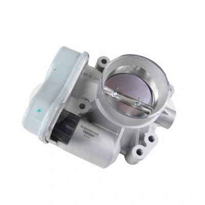 Throttle Body (54719)