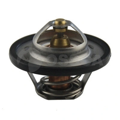 Thermostat, coolant (02937)