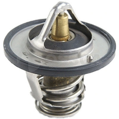 Thermostat, coolant (42487)
