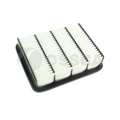 Air Filter (06081)