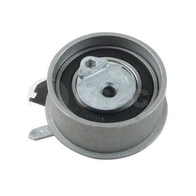 Tensioner Lever, V-ribbed belt (61873)