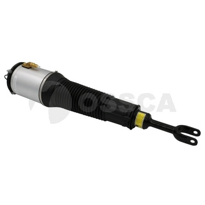 Air Suspension Strut (25742)