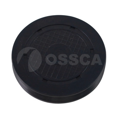 Cap (66843)