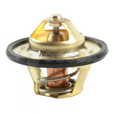 Thermostat, coolant (12619)