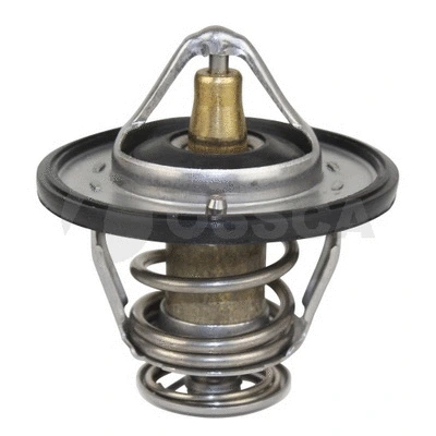 Thermostat, coolant (12139)