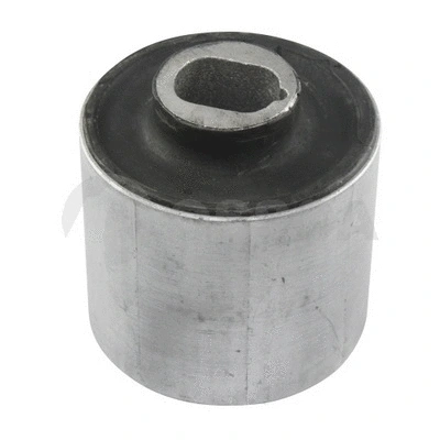 Mounting, control/trailing arm (14128)