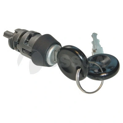 Lock Cylinder, ignition lock (01171)